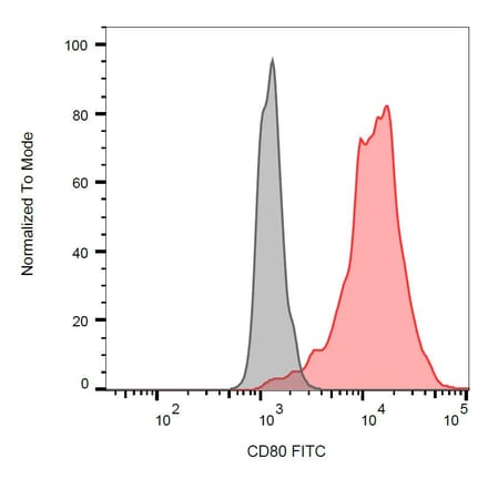 Flow Cytometry - Anti-CD80 Antibody [MEM-233] (FITC) (A85960)