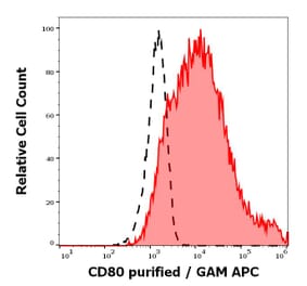Flow Cytometry - Anti-CD80 Antibody [MEM-233] (A85963)