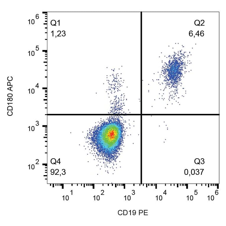 Flow Cytometry - Anti-RP105 Antibody [G28-8] (APC) (A85969)