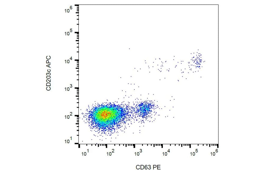 Flow Cytometry - Anti-CD63 Antibody [MEM-259] (PE) (A85972)