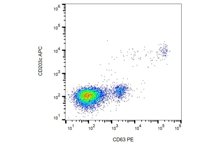 Flow Cytometry - Anti-CD63 Antibody [MEM-259] (PE) (A85971) - Antibodies.com