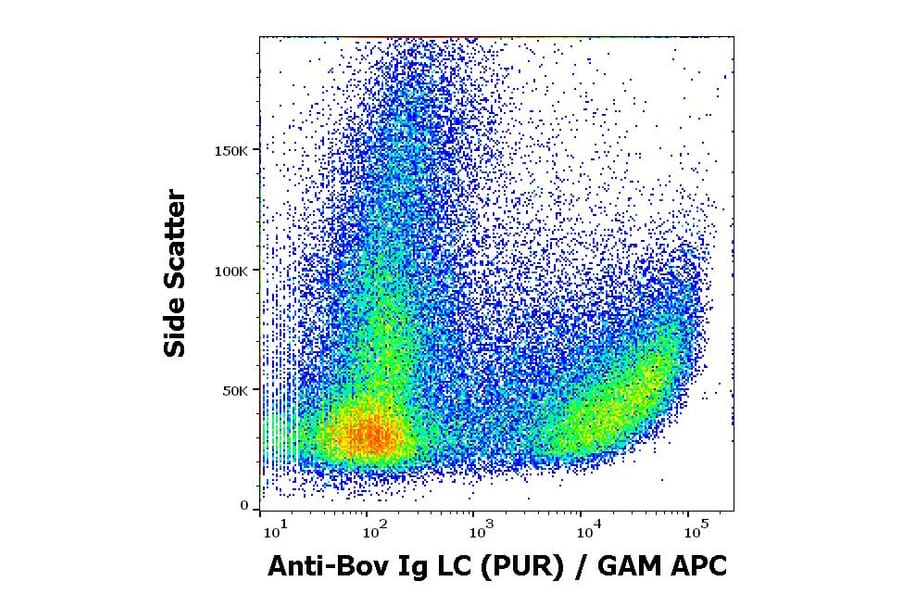 Flow Cytometry - Anti-Bovine IgG Light Chain Antibody [IVA285-1] (A85977)