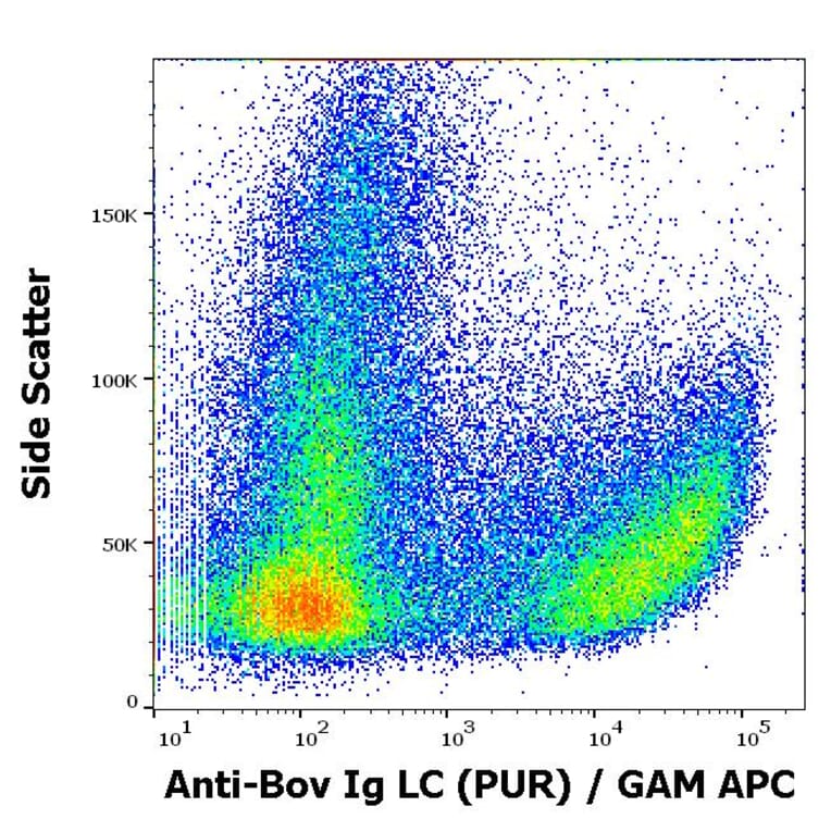 Flow Cytometry - Anti-Bovine IgG Light Chain Antibody [IVA285-1] (A85977)