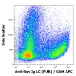 Flow Cytometry - Anti-Bovine IgG Light Chain Antibody [IVA285-1] (A85977)