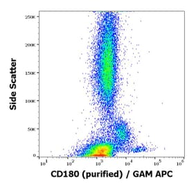Flow Cytometry - Anti-RP105 Antibody [G28-8] (A85979)