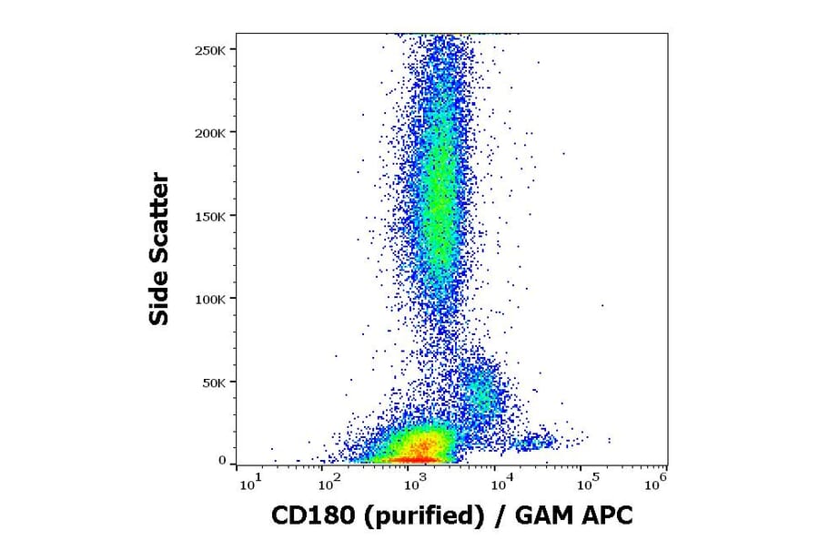 Flow Cytometry - Anti-RP105 Antibody [G28-8] (A85979)