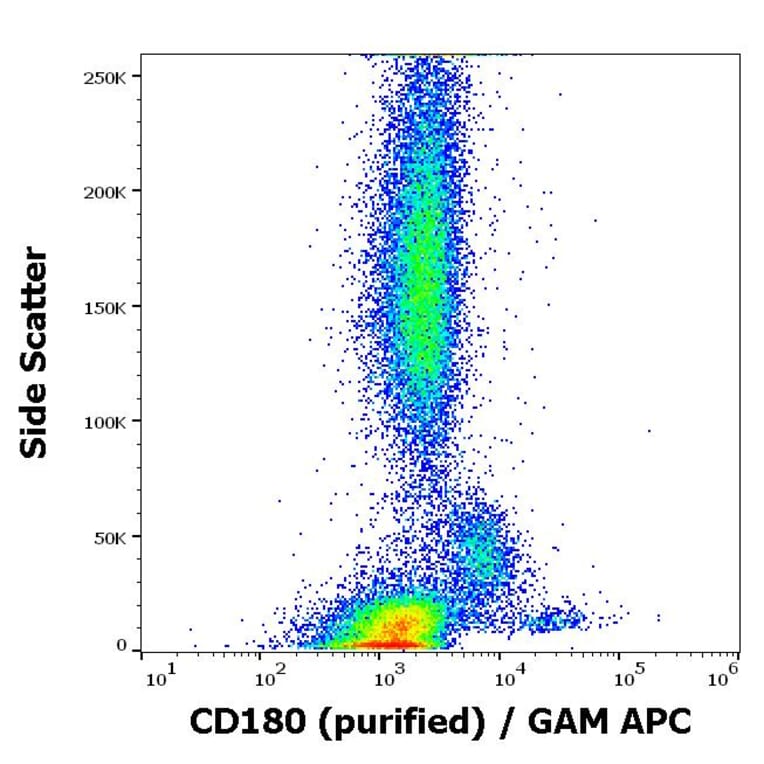 Flow Cytometry - Anti-RP105 Antibody [G28-8] (A85979)