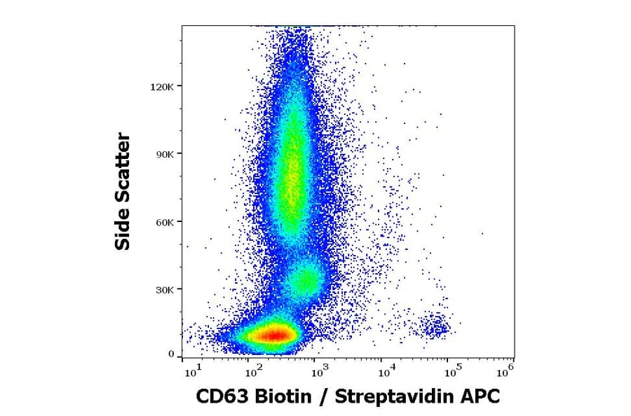 Flow Cytometry - Anti-CD63 Antibody [MEM-259] (Biotin) (A85980)