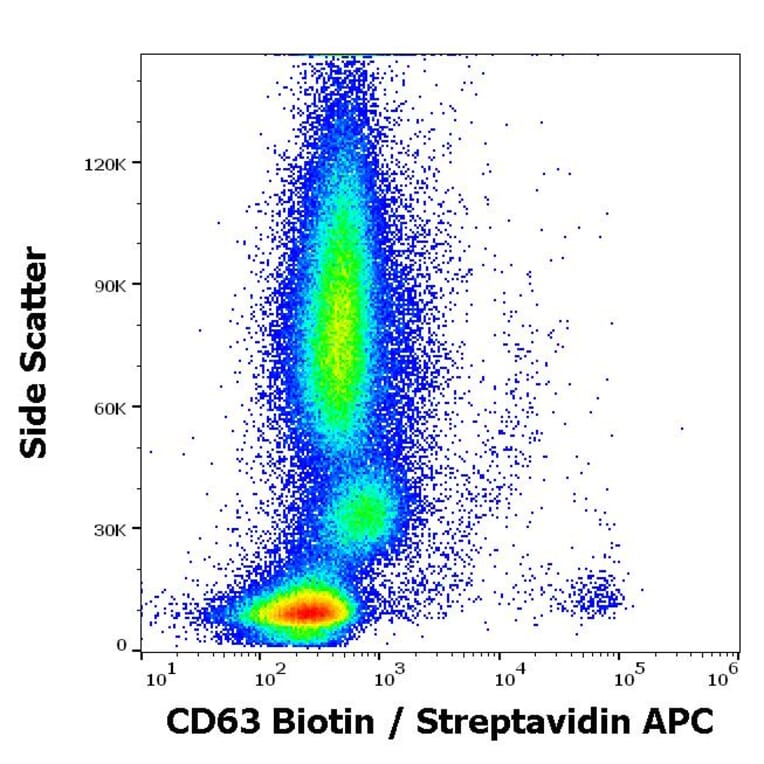 Flow Cytometry - Anti-CD63 Antibody [MEM-259] (Biotin) (A85980)