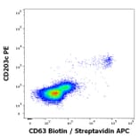 Flow Cytometry - Anti-CD63 Antibody [MEM-259] (Biotin) (A85980)