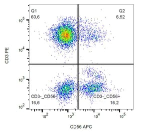 Flow Cytometry - Anti-CD56 Antibody [MEM-188] (APC) (A85978) - Antibodies.com