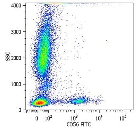 Flow Cytometry - Anti-CD56 Antibody [MEM-188] (FITC) (A85959) - Antibodies.com
