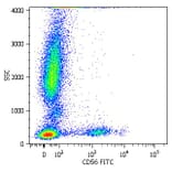 Flow Cytometry - Anti-CD56 Antibody [MEM-188] (FITC) (A85959) - Antibodies.com