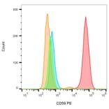 Flow Cytometry - Anti-CD59 Antibody [MEM-43] (PE) (A85985) - Antibodies.com