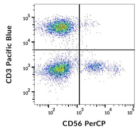 Flow Cytometry - Anti-NCAM1 Antibody [MEM-188] (PerCP) (A85987)