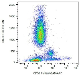 Flow Cytometry - Anti-NCAM1 Antibody [MEM-188] (A85988)