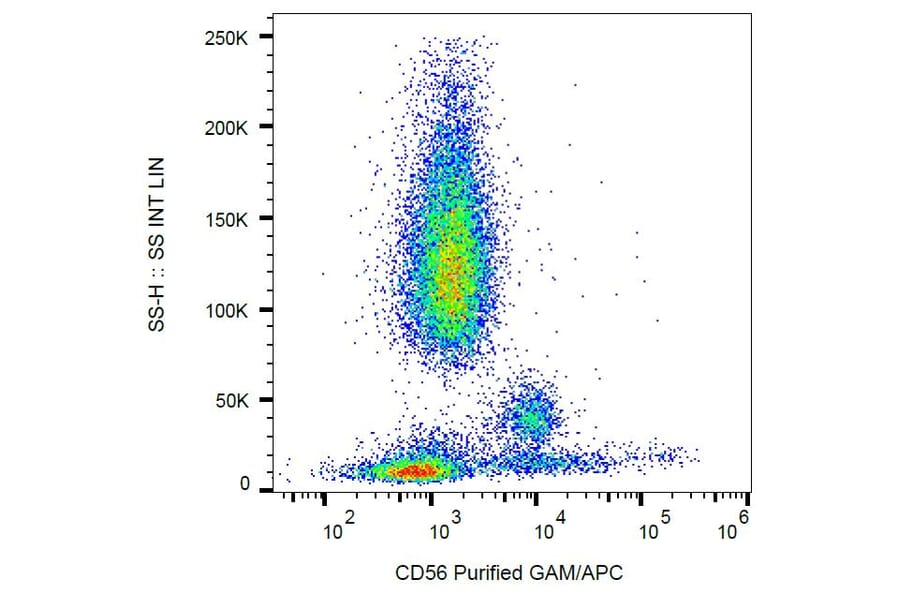 Flow Cytometry - Anti-NCAM1 Antibody [MEM-188] (A85988)