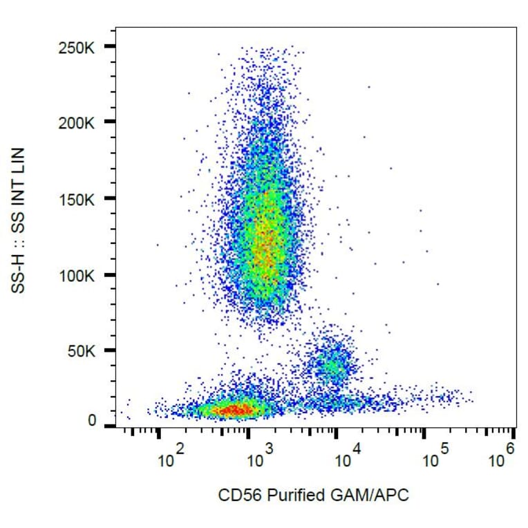 Flow Cytometry - Anti-NCAM1 Antibody [MEM-188] (A85988)