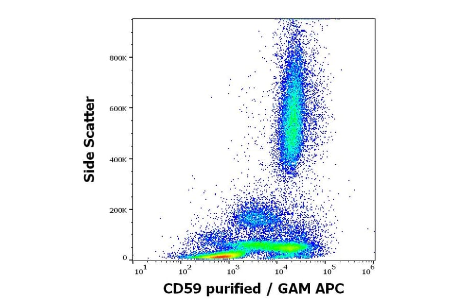 Flow Cytometry - Anti-CD59 Antibody [MEM-43] (A85989)