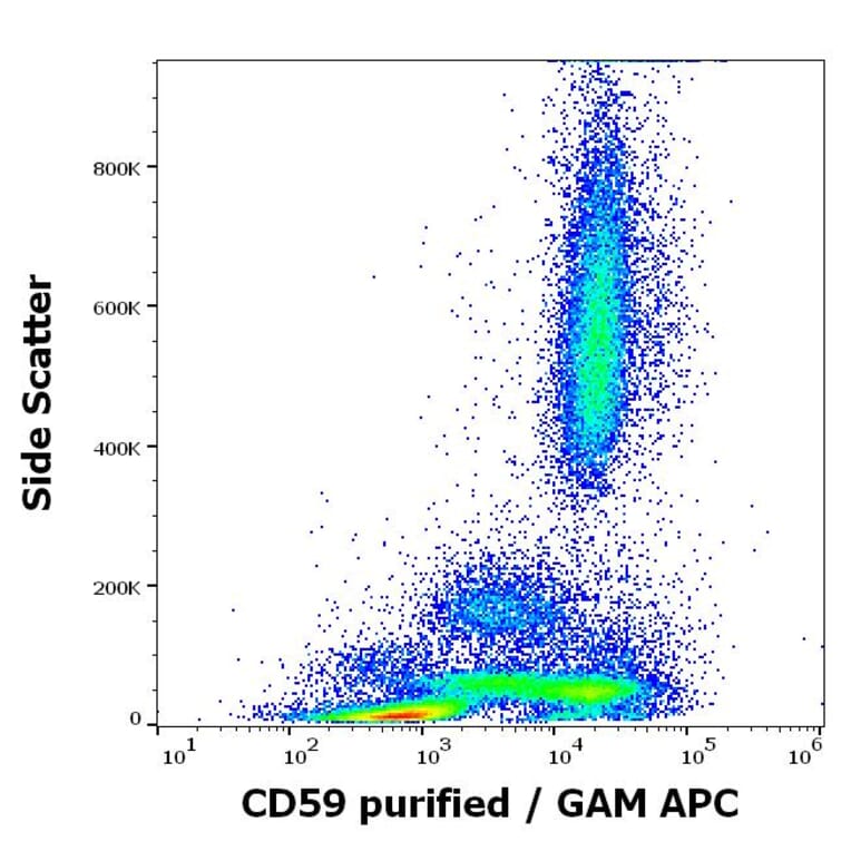 Flow Cytometry - Anti-CD59 Antibody [MEM-43] (A85989)