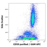 Flow Cytometry - Anti-CD59 Antibody [MEM-43] (A85989)