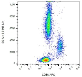 Flow Cytometry - Anti-CD86 Antibody [BU63] (APC) (A85992) - Antibodies.com