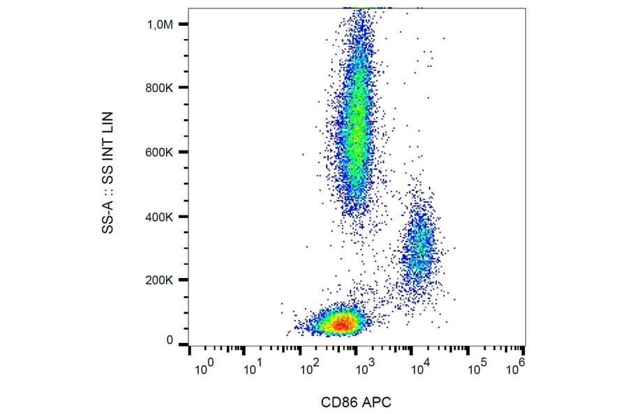 Flow cytometry of human peripheral blood cells stained with APC-conjugated mouse anti-CD86 [BU63] (A85993)