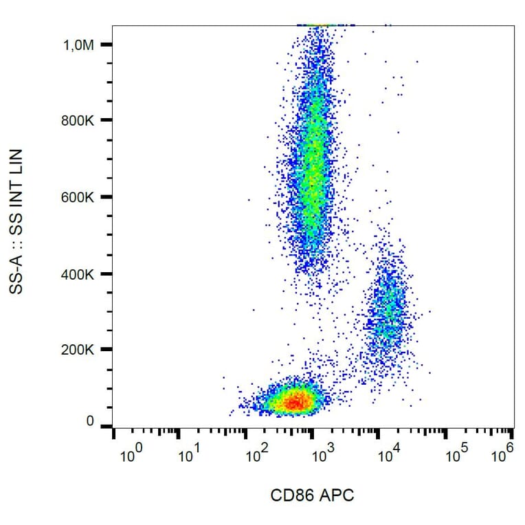 Flow Cytometry - Anti-CD86 Antibody [BU63] (APC) (A85992) - Antibodies.com