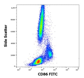 Flow Cytometry - Anti-CD86 Antibody [BU63] (FITC) (A85994)