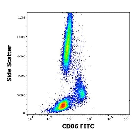 Flow Cytometry - Anti-CD86 Antibody [BU63] (FITC) (A85994)