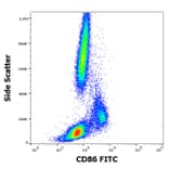Flow Cytometry - Anti-CD86 Antibody [BU63] (FITC) (A85994)