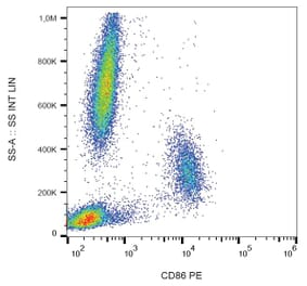 Flow Cytometry - Anti-CD86 Antibody [BU63] (PE) (A85993) - Antibodies.com