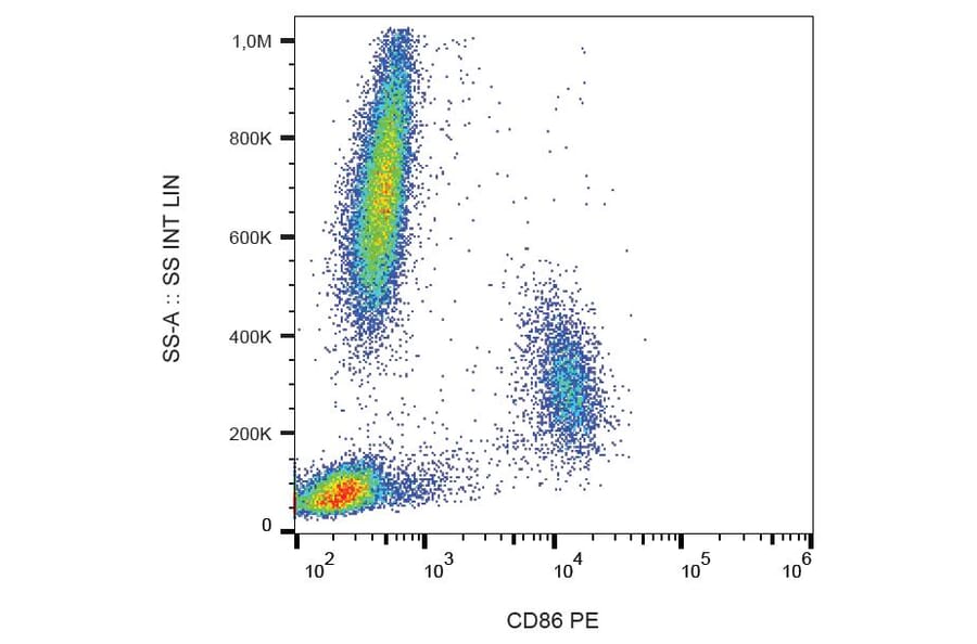 Flow Cytometry - Anti-CD86 Antibody [BU63] (PE) (A85993) - Antibodies.com