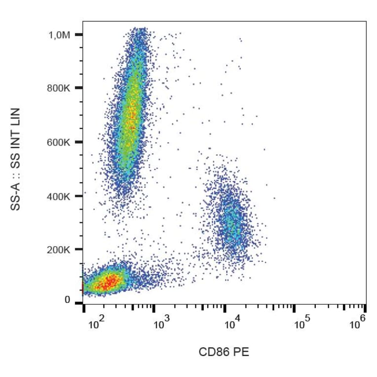 Flow Cytometry - Anti-CD86 Antibody [BU63] (PE) (A85993) - Antibodies.com