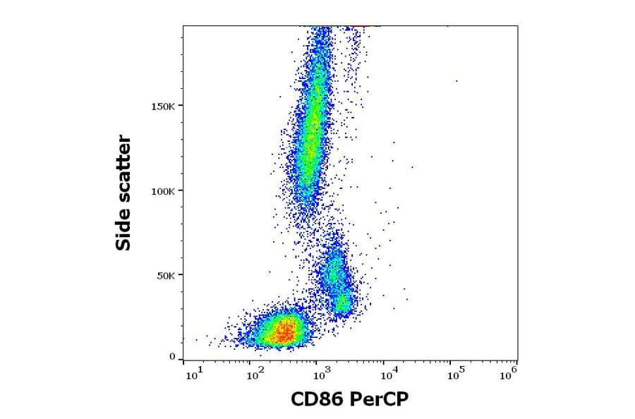 Flow Cytometry - Anti-CD86 Antibody [BU63] (PerCP) (A85996)