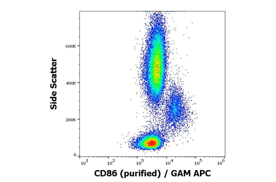 Flow Cytometry - Anti-CD86 Antibody [BU63] (A85998)