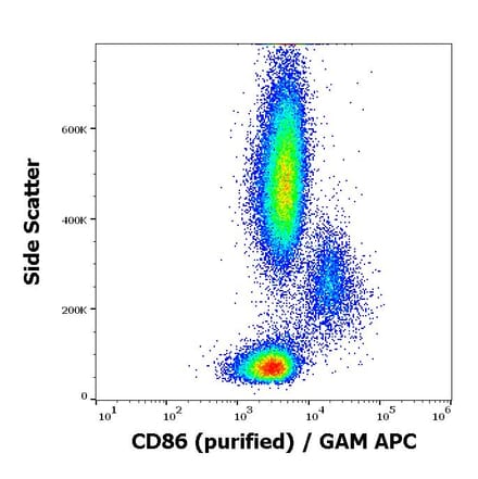 Flow Cytometry - Anti-CD86 Antibody [BU63] (A85998)