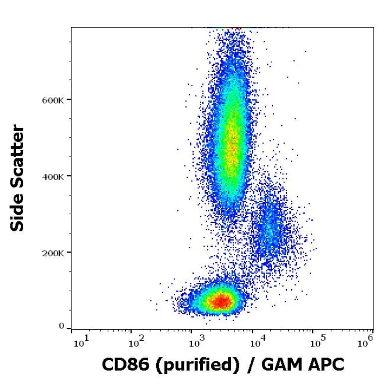 Flow Cytometry - Anti-CD86 Antibody [BU63] (A85998)