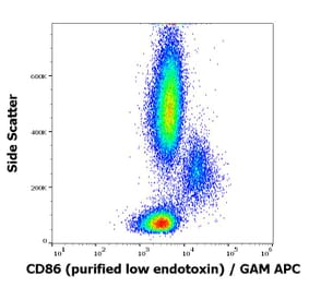 Flow Cytometry - Anti-CD86 Antibody [BU63] - Low endotoxin, Azide free (A85999)