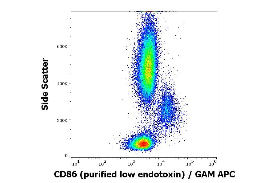 Flow Cytometry - Anti-CD86 Antibody [BU63] - Low endotoxin, Azide free (A85999)