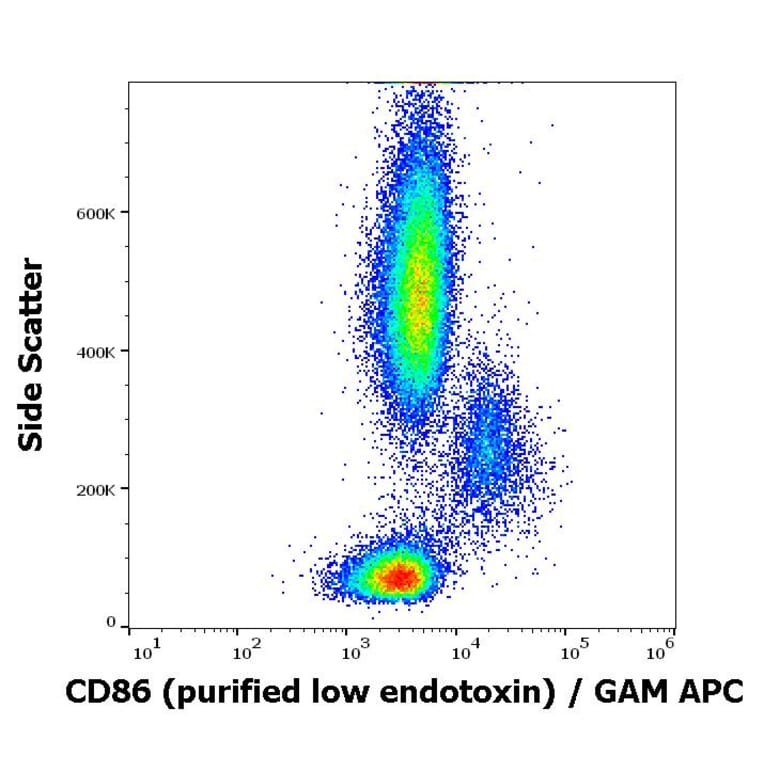 Flow Cytometry - Anti-CD86 Antibody [BU63] - Low endotoxin, Azide free (A85999)