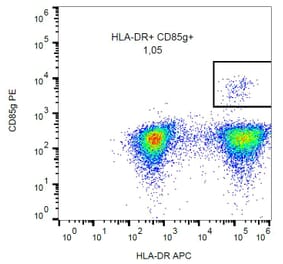 Flow Cytometry - Anti-ILT-7 Antibody [17G10.2] (PE) (A86000)