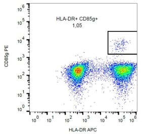 Flow Cytometry - Anti-CD85g Antibody [17G10.2] (PE) (A85997) - Antibodies.com