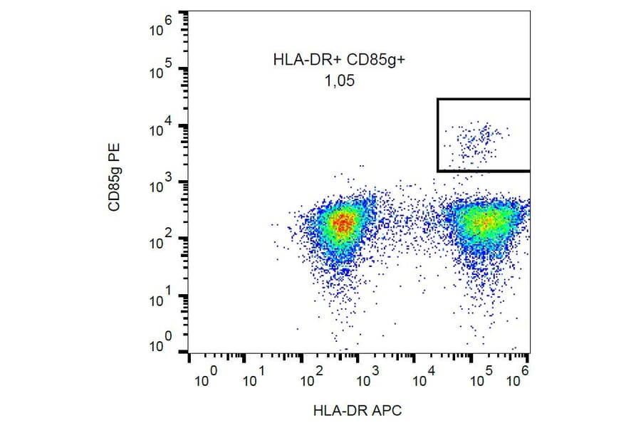 Flow Cytometry - Anti-CD85g Antibody [17G10.2] (PE) (A85997) - Antibodies.com