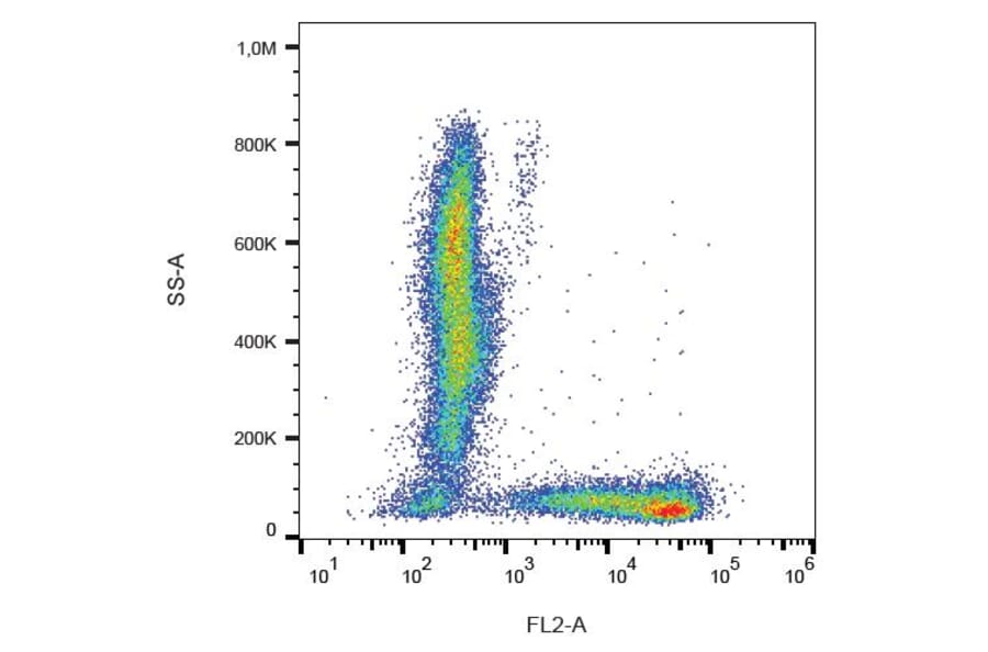 Flow Cytometry - Anti-CD7 Antibody [124-1D1] (PE) (A86004)