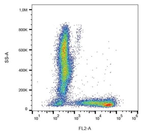 Flow Cytometry - Anti-CD7 Antibody [124-1D1] (PE) (A86003) - Antibodies.com