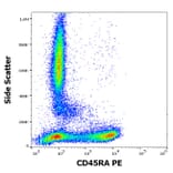 Flow Cytometry - Anti-CD45RA Antibody [MEM-56] (PE) (A86005)