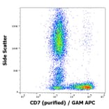 Flow Cytometry - Anti-CD7 Antibody [124-1D1] (A86008)