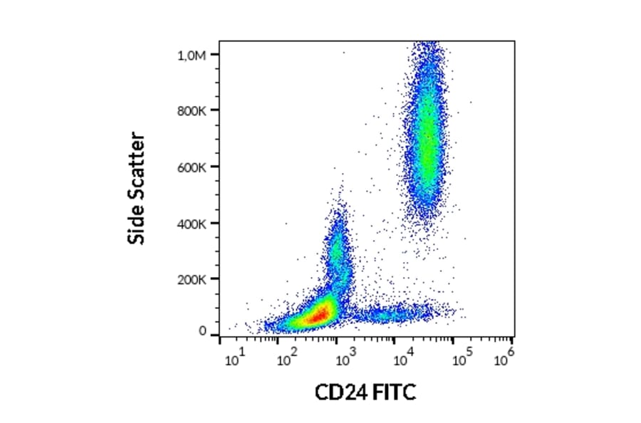 Flow Cytometry - Anti-CD24 Antibody [SN3] (FITC) (A86015)