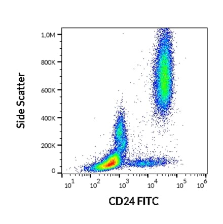 Flow Cytometry - Anti-CD24 Antibody [SN3] (FITC) (A86015)